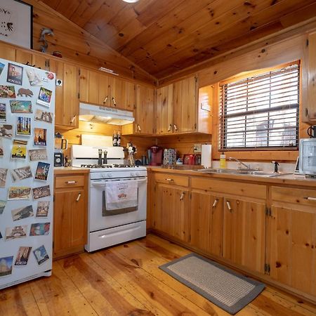 Villa Three Dog Night - Pet-Friendly Cabin With Hot Tub à Blue Ridge Extérieur photo