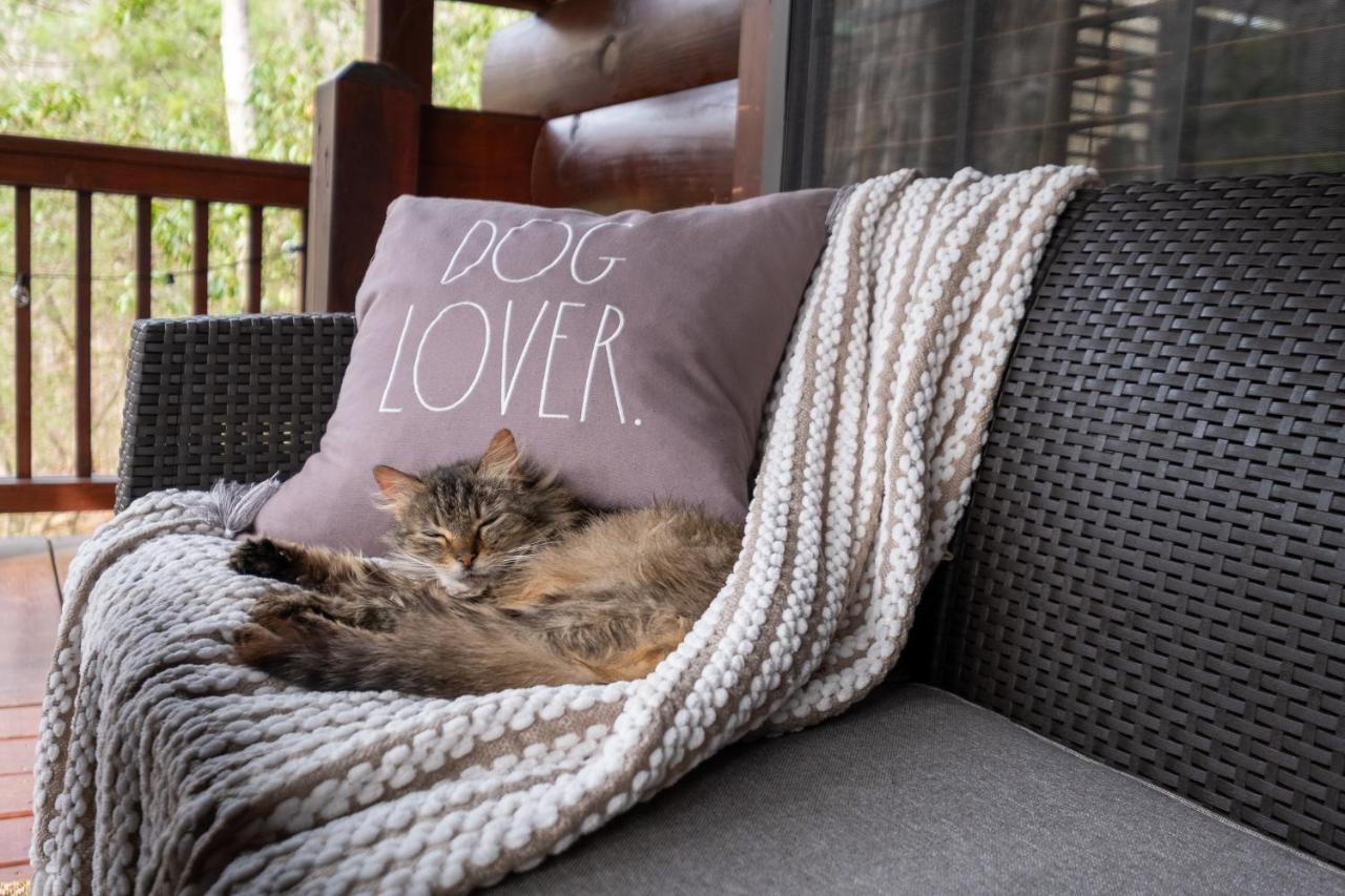 Villa Three Dog Night - Pet-Friendly Cabin With Hot Tub à Blue Ridge Extérieur photo