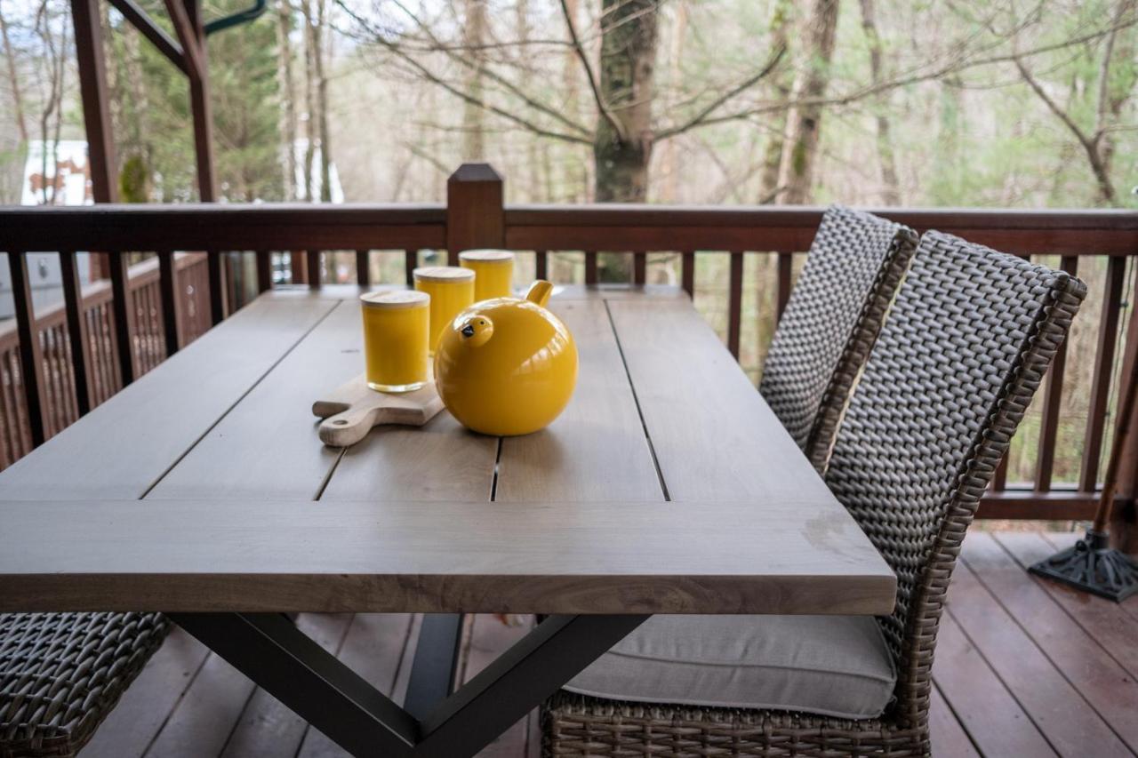 Villa Three Dog Night - Pet-Friendly Cabin With Hot Tub à Blue Ridge Extérieur photo
